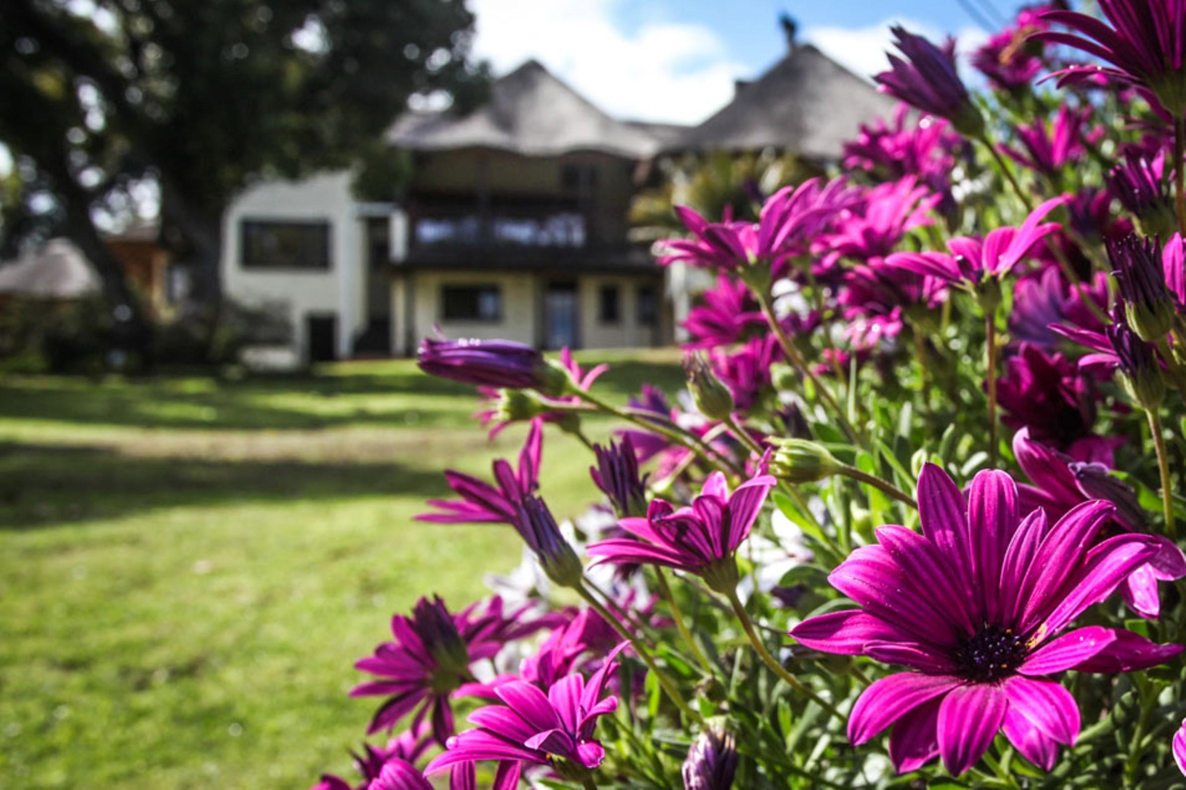סומרסט ווסט Winelands Villa Guesthouse And Cottages מראה חיצוני תמונה