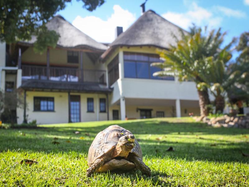 סומרסט ווסט Winelands Villa Guesthouse And Cottages מראה חיצוני תמונה