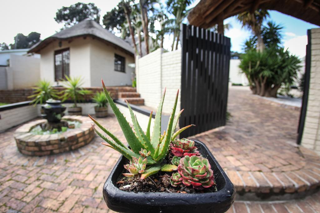 סומרסט ווסט Winelands Villa Guesthouse And Cottages חדר תמונה