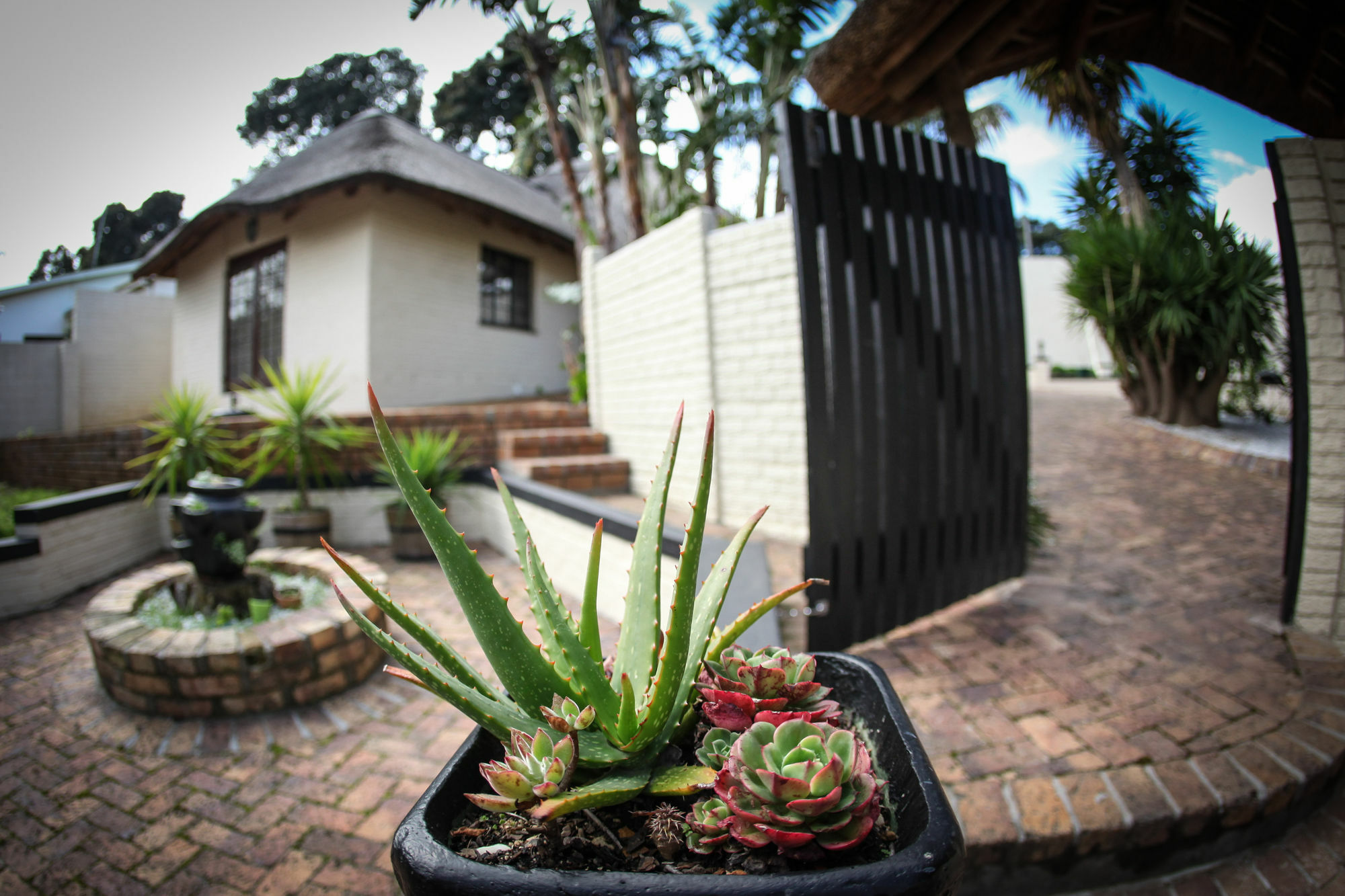 סומרסט ווסט Winelands Villa Guesthouse And Cottages מראה חיצוני תמונה